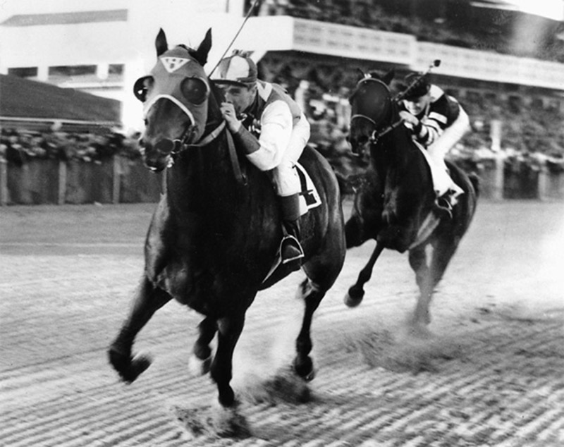 seabiscuit-wolf-vs-war-admiral-greatest-race-of-the-century-1938-copy ...